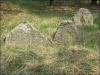 Ружаны. Еврейское кладбище