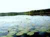 Ружаны. Озеро Паперня