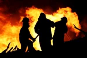 Пожар под Столином тушит более 110 людей